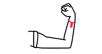 蘇州工業(yè)園區(qū)2019年度獨角獸、瞪羚企業(yè) 、培育工程入庫企業(yè)名單公示